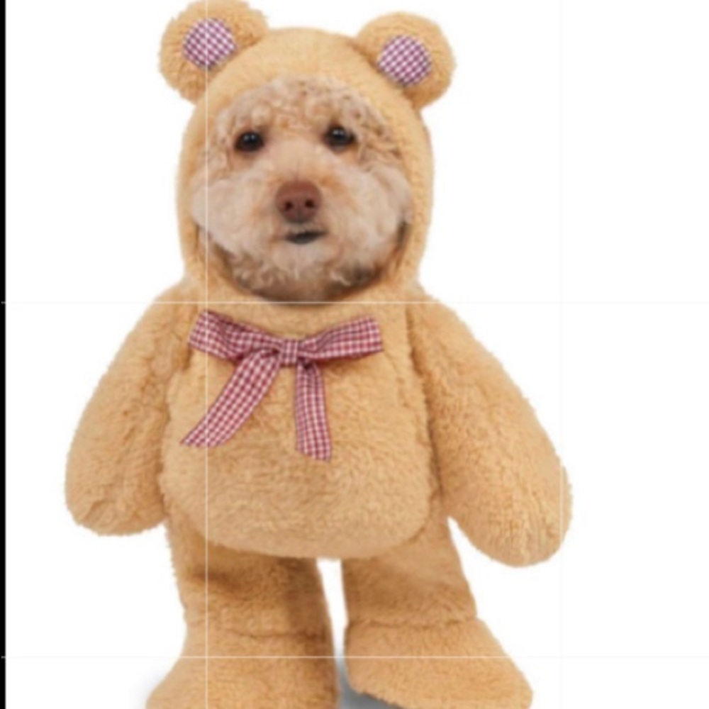 Dog Halloween Teddy Bear Costume NWT SIze Small